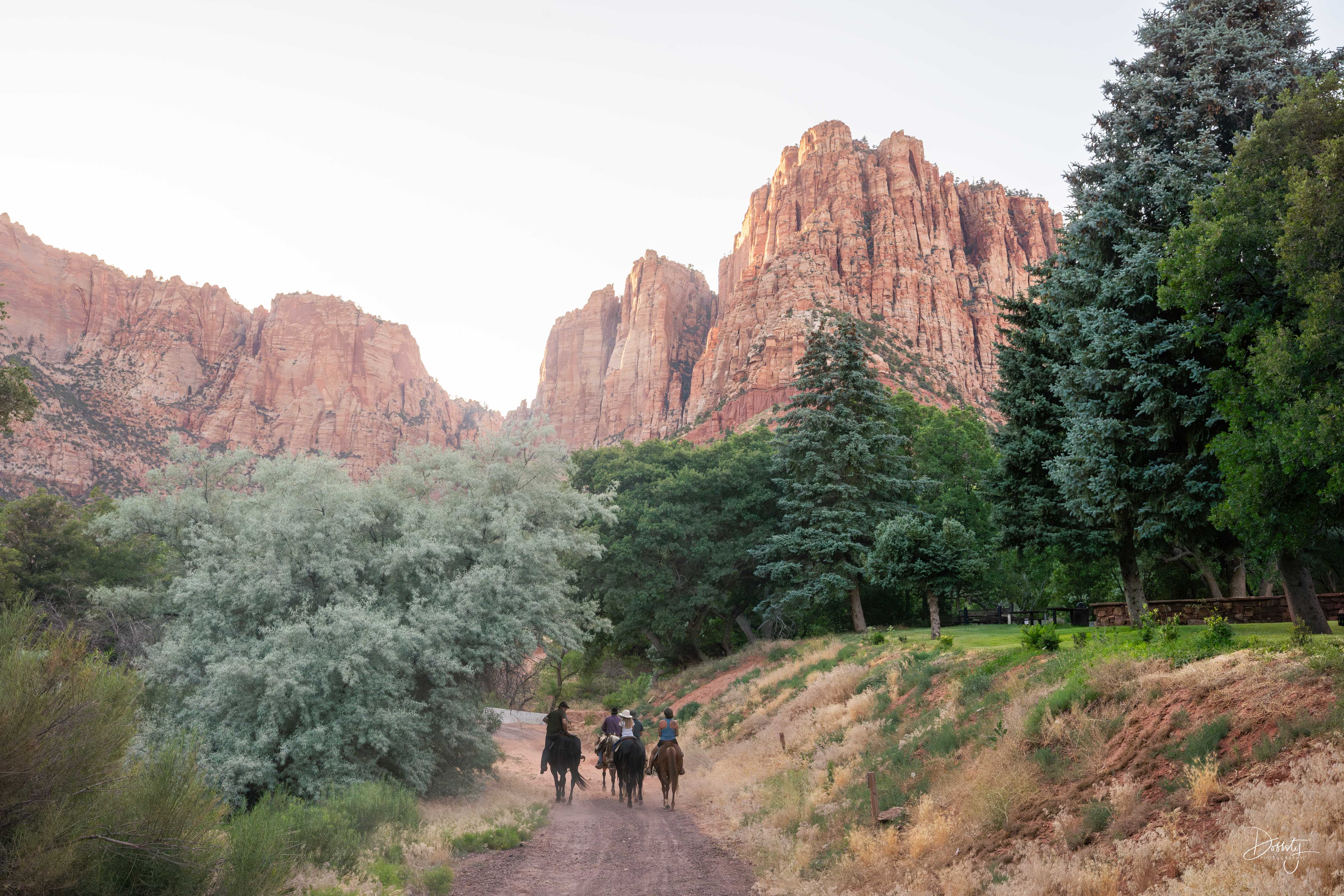 Zion Glamping Adventures | Petroglyph Ride