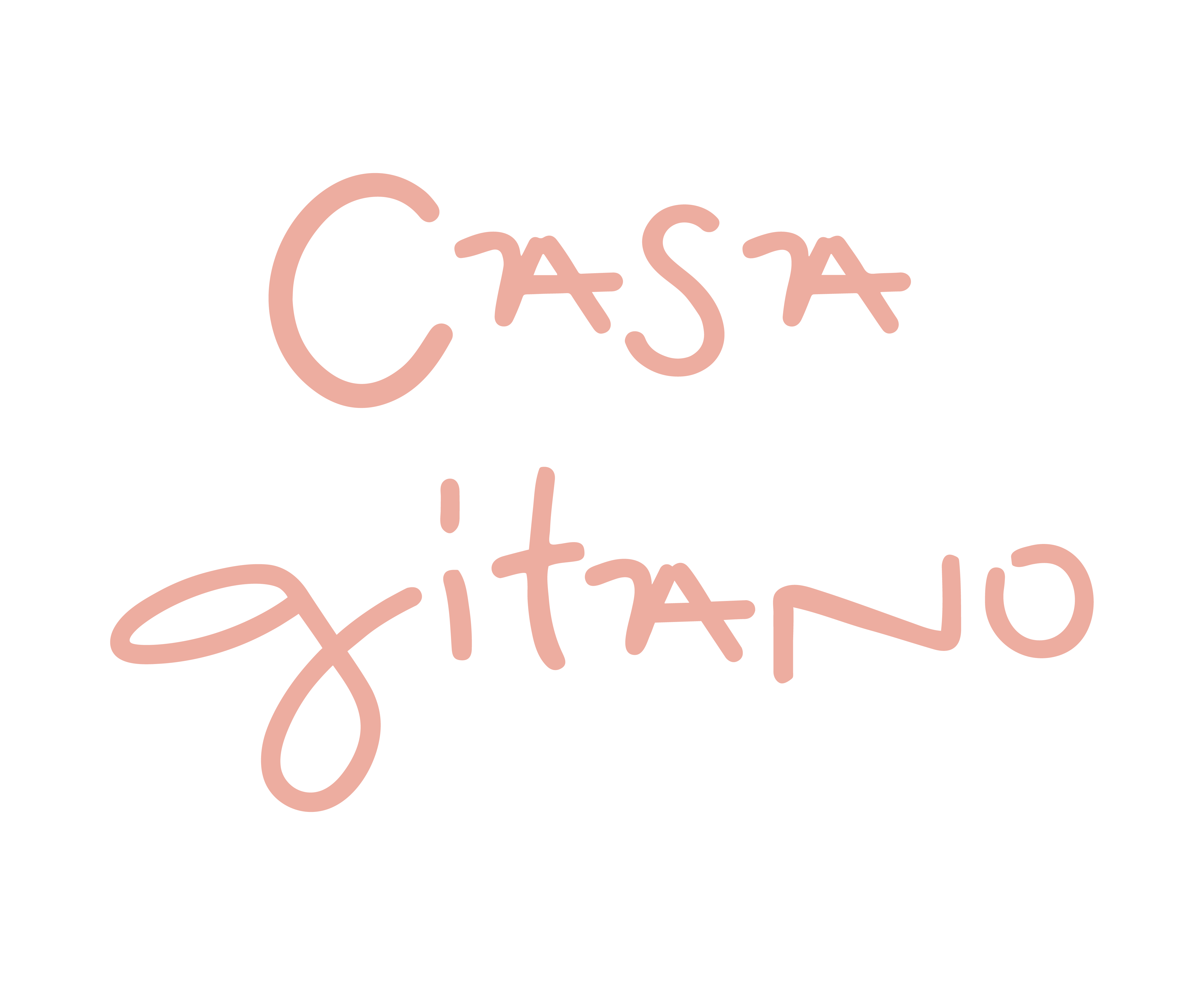 CASA GITANO Products